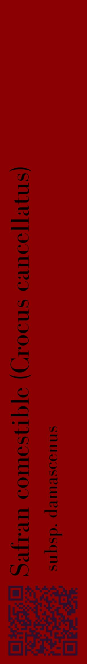 Étiquette de : Crocus cancellatus subsp. damascenus - format c - style noire34_basiquebod avec qrcode et comestibilité