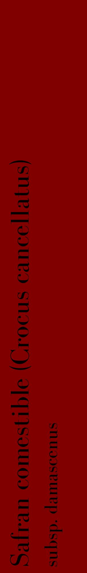 Étiquette de : Crocus cancellatus subsp. damascenus - format c - style noire29_basiquebod avec comestibilité