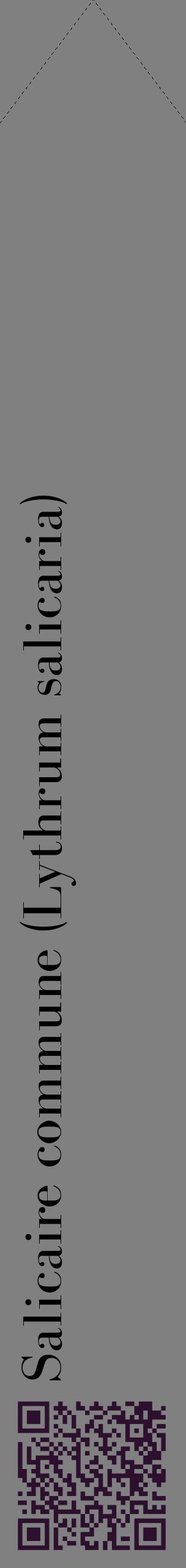 Étiquette de : Lythrum salicaria - format c - style noire57_simplebod avec qrcode et comestibilité