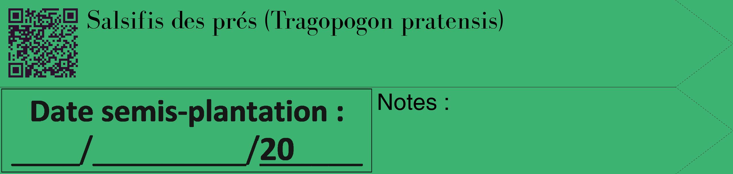 Étiquette de : Tragopogon pratensis - format c - style noire12_simple_simplebod avec qrcode et comestibilité