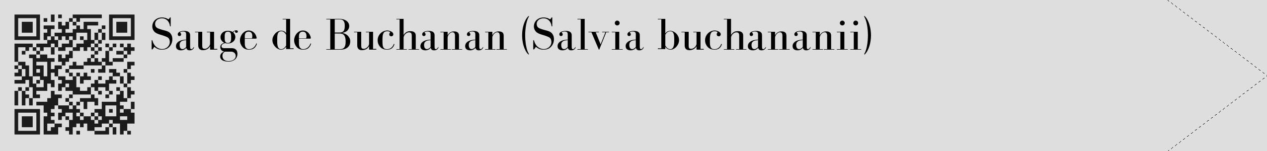 Étiquette de : Salvia buchananii - format c - style noire20_simple_simplebod avec qrcode et comestibilité