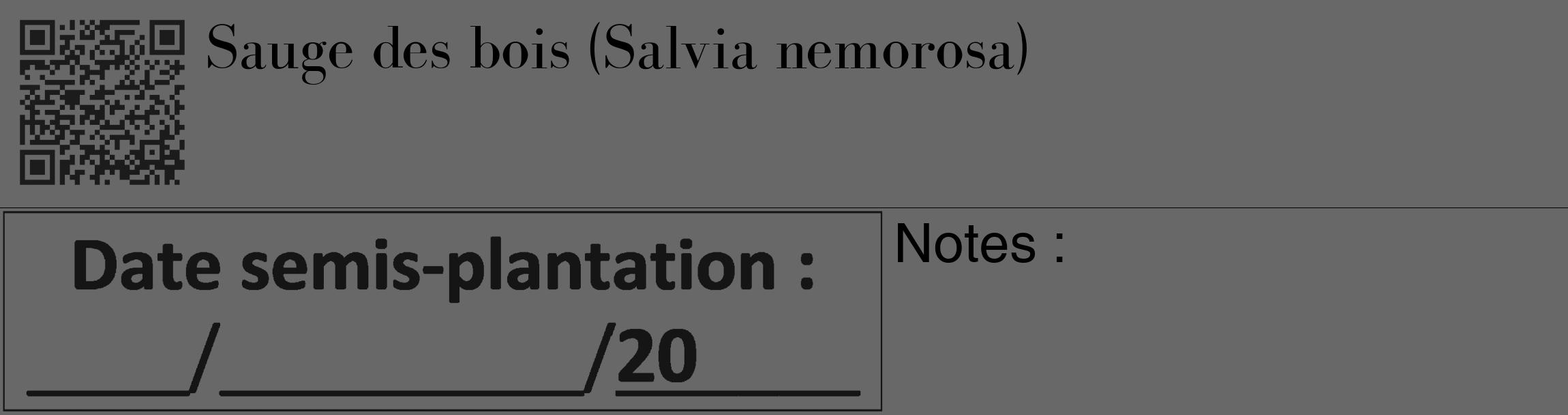 Étiquette de : Salvia nemorosa - format c - style noire6_basique_basiquebod avec qrcode et comestibilité
