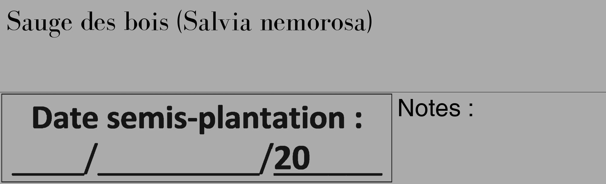 Étiquette de : Salvia nemorosa - format c - style noire37_basique_basiquebod avec comestibilité