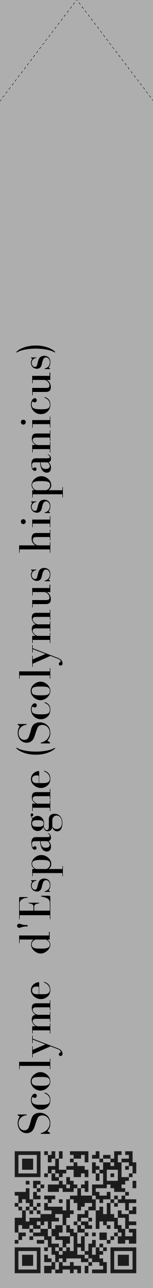 Étiquette de : Scolymus hispanicus - format c - style noire53_simple_simplebod avec qrcode et comestibilité - position verticale