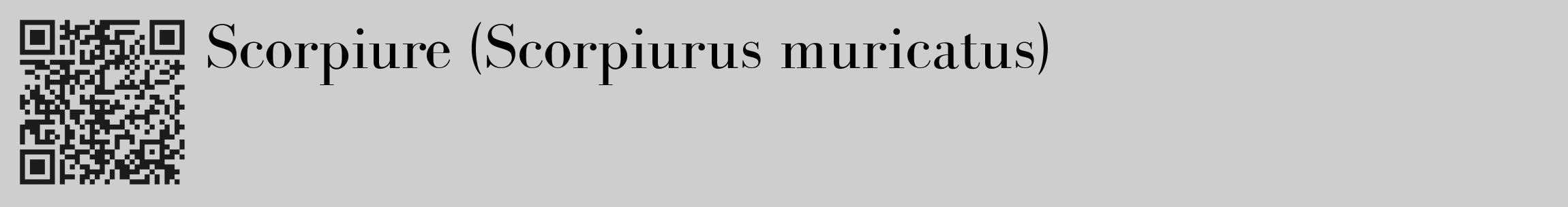 Étiquette de : Scorpiurus muricatus - format c - style noire17_basique_basiquebod avec qrcode et comestibilité