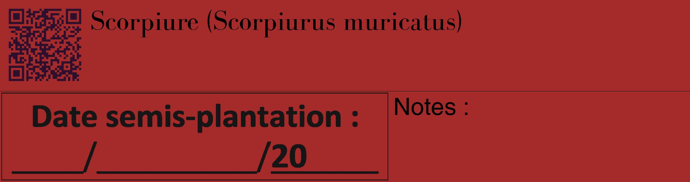 Étiquette de : Scorpiurus muricatus - format c - style noire33_basique_basiquebod avec qrcode et comestibilité
