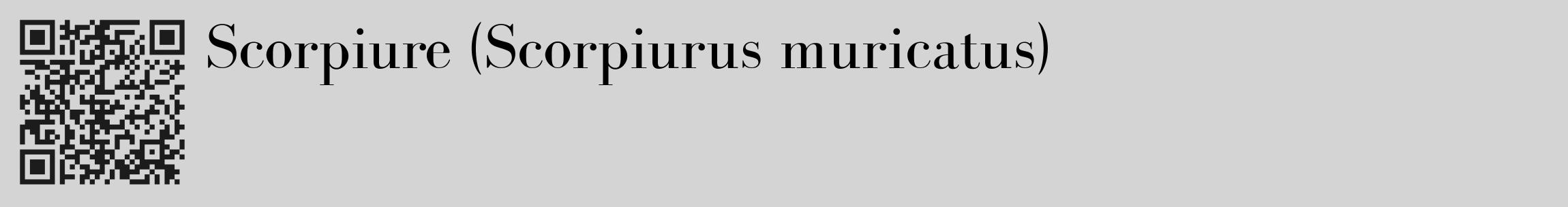 Étiquette de : Scorpiurus muricatus - format c - style noire40_basique_basiquebod avec qrcode et comestibilité