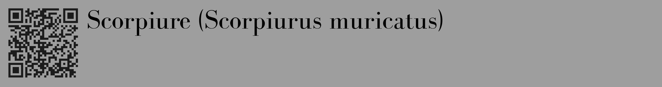 Étiquette de : Scorpiurus muricatus - format c - style noire42_basique_basiquebod avec qrcode et comestibilité