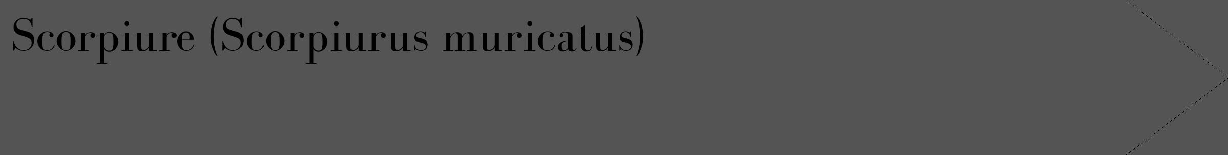 Étiquette de : Scorpiurus muricatus - format c - style noire36_simple_simplebod avec comestibilité