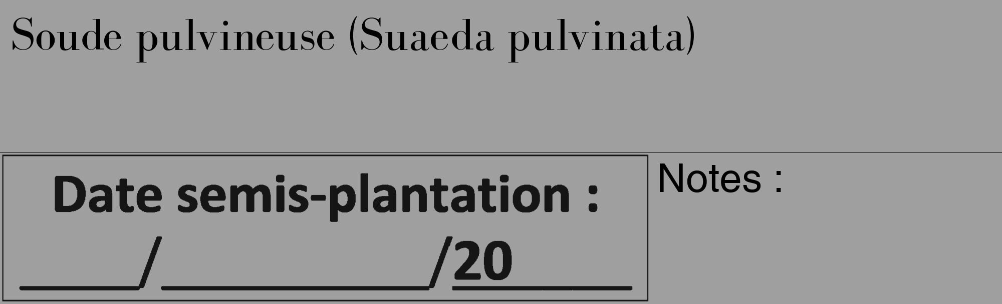 Étiquette de : Suaeda pulvinata - format c - style noire24_basique_basiquebod avec comestibilité