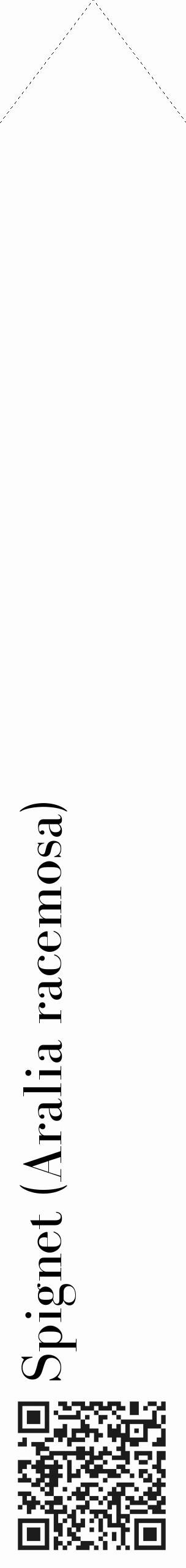 Étiquette de : Aralia racemosa - format c - style noire19_simple_simplebod avec qrcode et comestibilité - position verticale