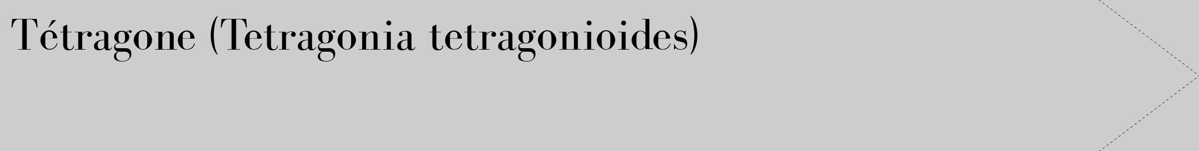 Étiquette de : Tetragonia tetragonioides - format c - style noire41_simple_simplebod avec comestibilité