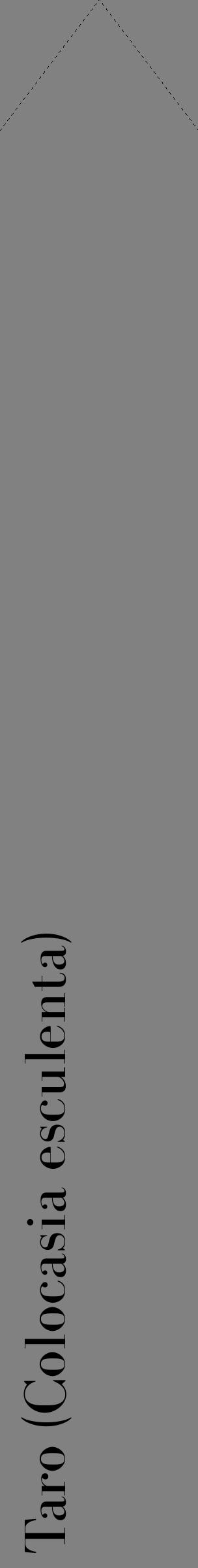 Étiquette de : Colocasia esculenta - format c - style noire50_simple_simplebod avec comestibilité - position verticale