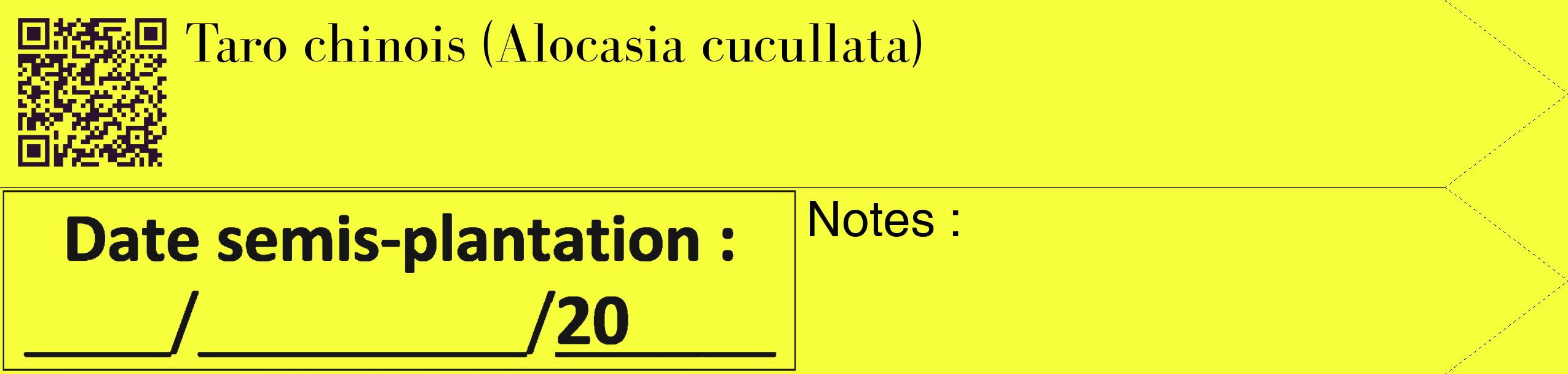 Étiquette de : Alocasia cucullata - format c - style noire18_simple_simplebod avec qrcode et comestibilité