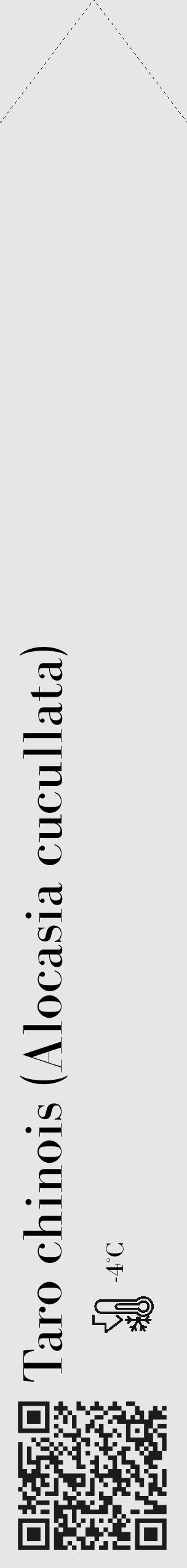 Étiquette de : Alocasia cucullata - format c - style noire18_simple_simplebod avec qrcode et comestibilité - position verticale