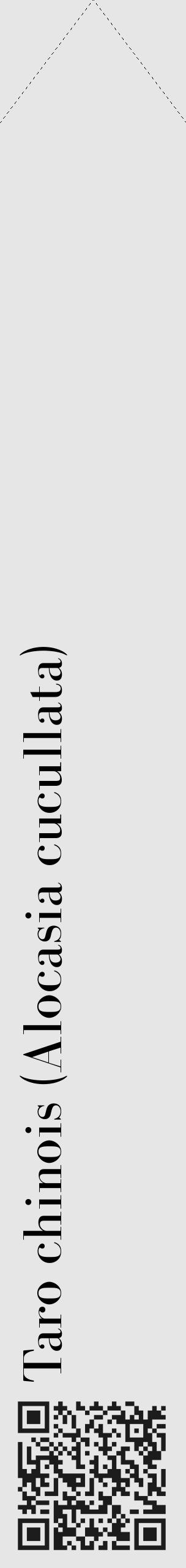 Étiquette de : Alocasia cucullata - format c - style noire18_simple_simplebod avec qrcode et comestibilité - position verticale