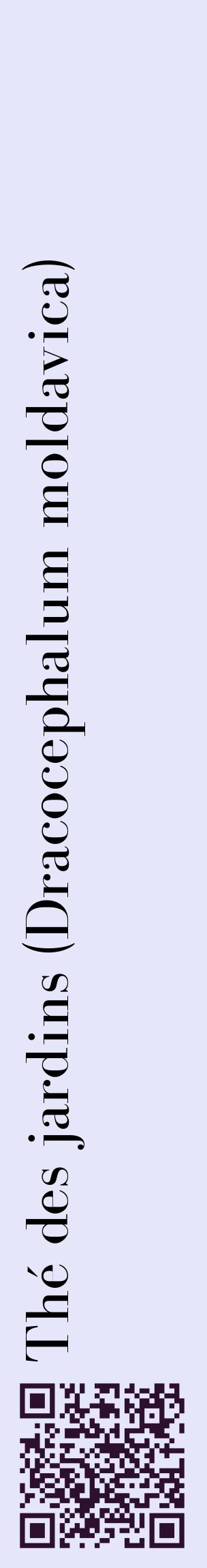 Étiquette de : Dracocephalum moldavica - format c - style noire55_basiquebod avec qrcode et comestibilité