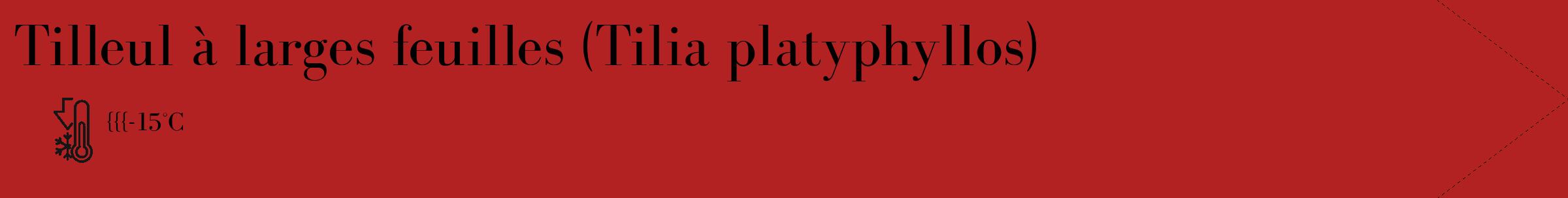 Étiquette de : Tilia platyphyllos - format c - style noire28_simple_simplebod avec comestibilité