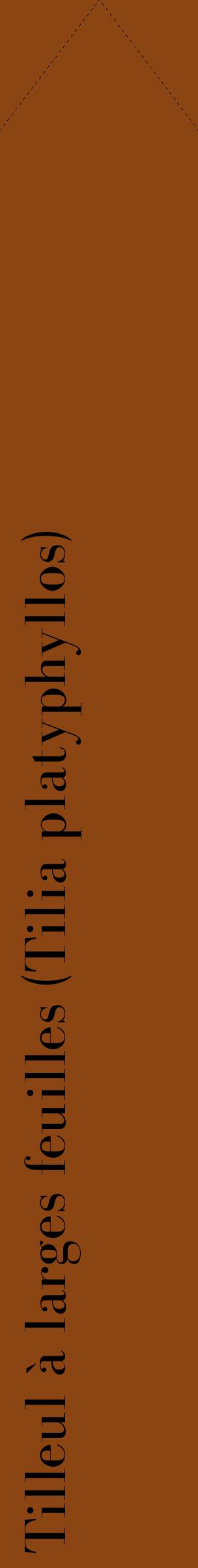 Étiquette de : Tilia platyphyllos - format c - style noire30_simplebod avec comestibilité
