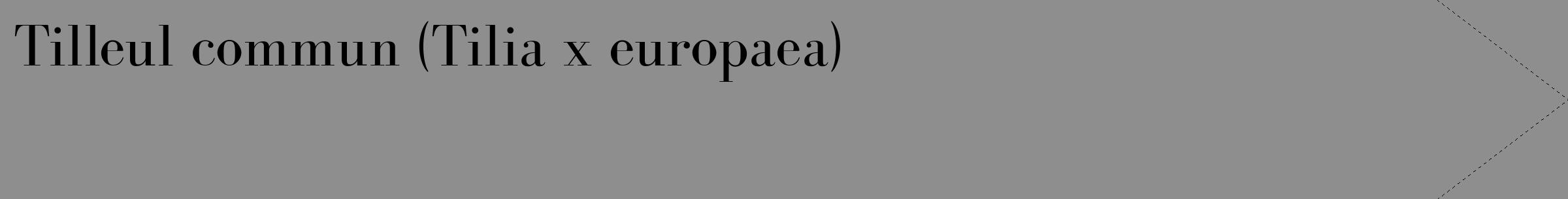 Étiquette de : Tilia x europaea - format c - style noire25_simple_simplebod avec comestibilité