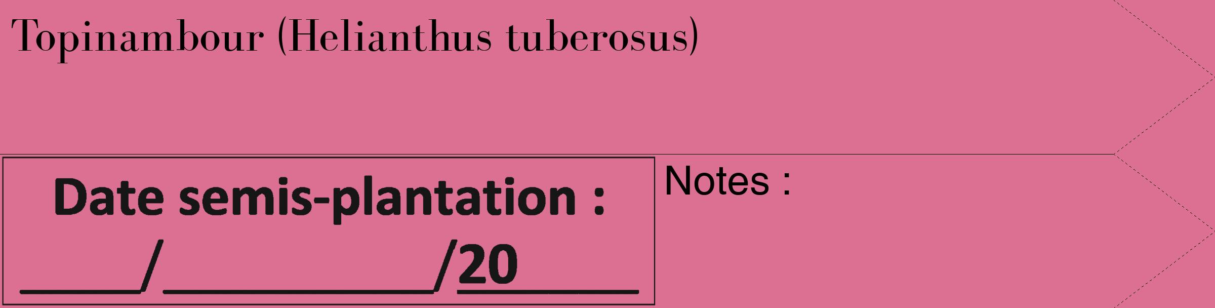 Étiquette de : Helianthus tuberosus - format c - style noire44_simple_simplebod avec comestibilité