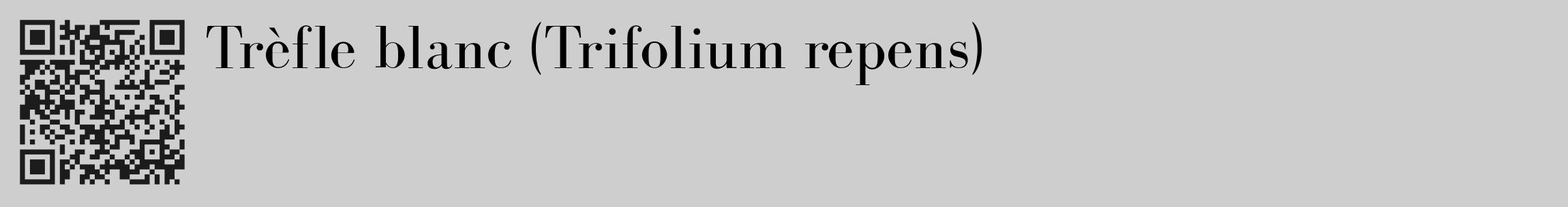 Étiquette de : Trifolium repens - format c - style noire17_basique_basiquebod avec qrcode et comestibilité