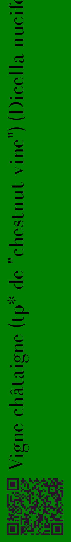 Étiquette de : Dicella nucifera - format c - style noire9_basiquebod avec qrcode et comestibilité