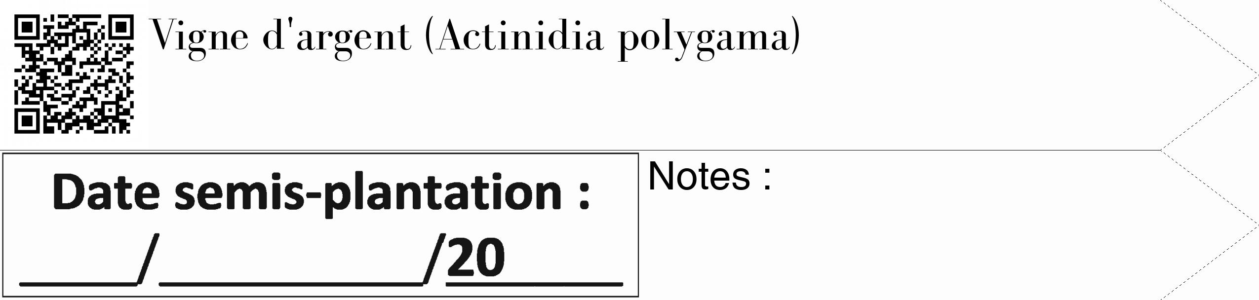 Étiquette de : Actinidia polygama - format c - style noire19_simple_simplebod avec qrcode et comestibilité