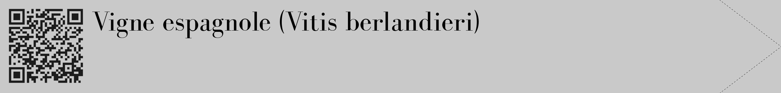 Étiquette de : Vitis berlandieri - format c - style noire54_simple_simplebod avec qrcode et comestibilité