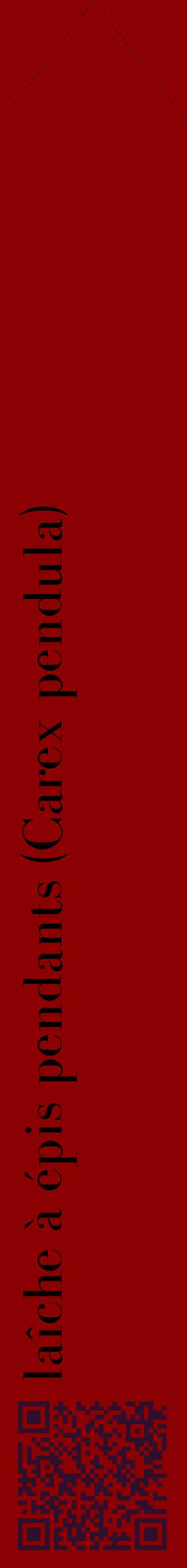 Étiquette de : Carex pendula - format c - style noire34_simplebod avec qrcode et comestibilité