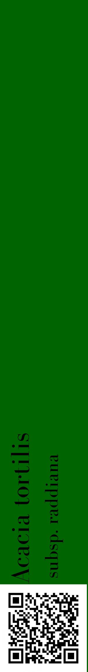 Étiquette de : Acacia tortilis subsp. raddiana - format c - style noire8_basiquebod avec qrcode et comestibilité