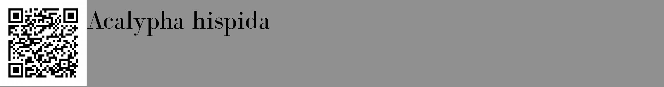 Étiquette de : Acalypha hispida - format c - style noire4_basique_basiquebod avec qrcode et comestibilité