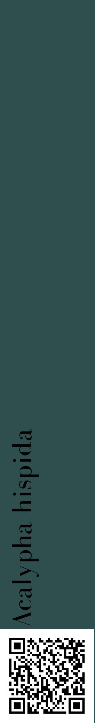 Étiquette de : Acalypha hispida - format c - style noire58_basiquebod avec qrcode et comestibilité