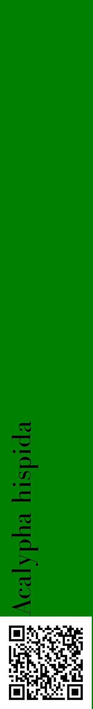 Étiquette de : Acalypha hispida - format c - style noire9_basiquebod avec qrcode et comestibilité
