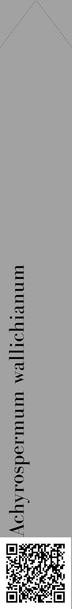 Étiquette de : Achyrospermum wallichianum - format c - style noire38_simple_simplebod avec qrcode et comestibilité - position verticale