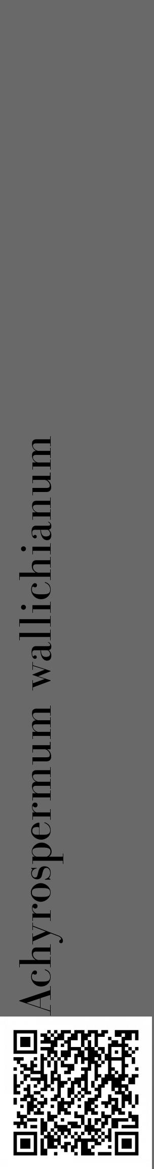 Étiquette de : Achyrospermum wallichianum - format c - style noire51_basique_basiquebod avec qrcode et comestibilité - position verticale