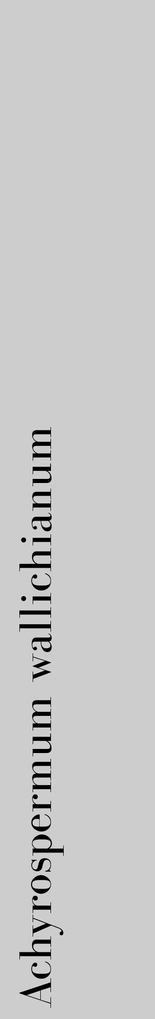 Étiquette de : Achyrospermum wallichianum - format c - style noire41_basique_basiquebod avec comestibilité - position verticale