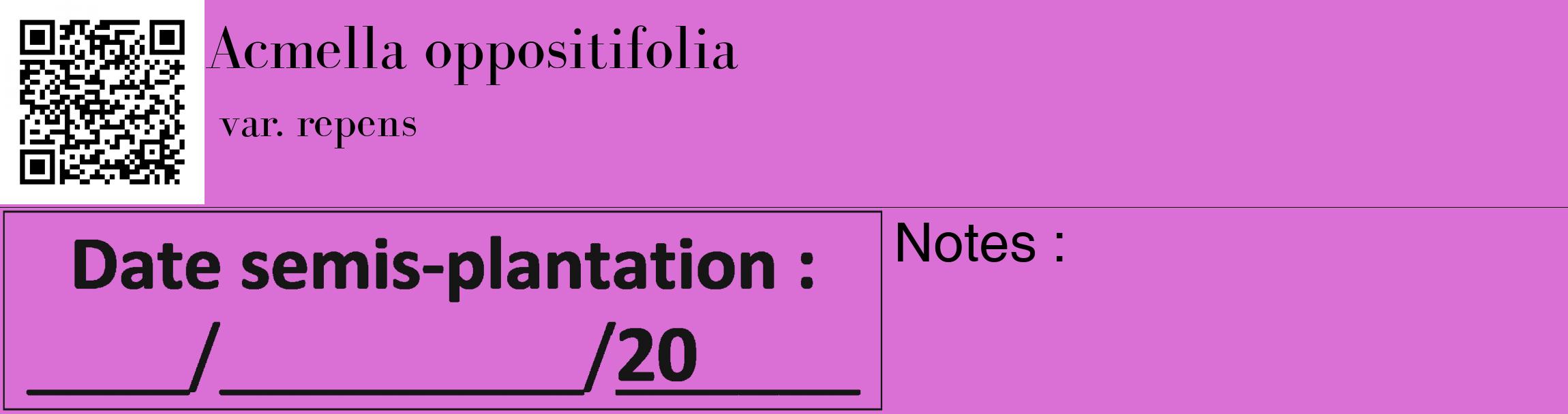Étiquette de : Acmella oppositifolia var. repens - format c - style noire52_basique_basiquebod avec qrcode et comestibilité