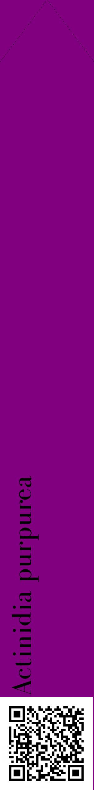 Étiquette de : Actinidia purpurea - format c - style noire46_simplebod avec qrcode et comestibilité