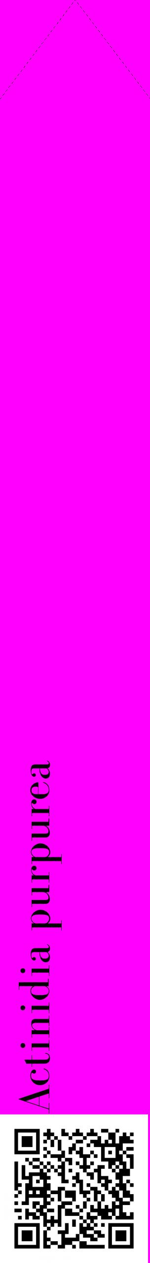 Étiquette de : Actinidia purpurea - format c - style noire51_simplebod avec qrcode et comestibilité