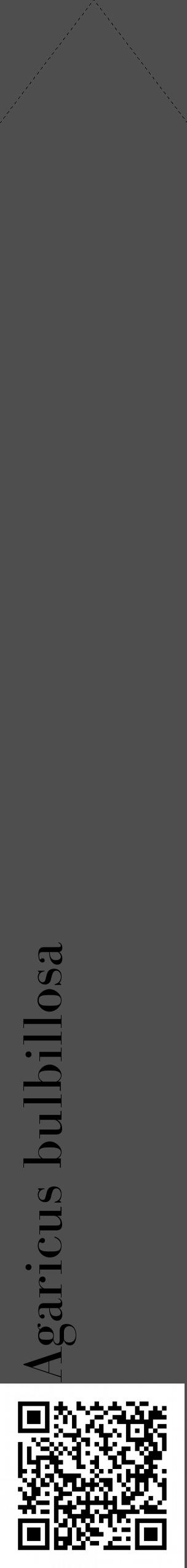 Étiquette de : Agaricus bulbillosa - format c - style noire33_simple_simplebod avec qrcode et comestibilité - position verticale