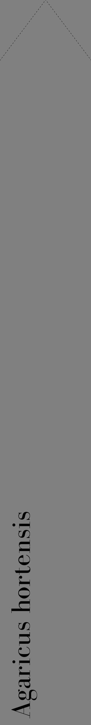 Étiquette de : Agaricus hortensis - format c - style noire57_simplebod avec comestibilité