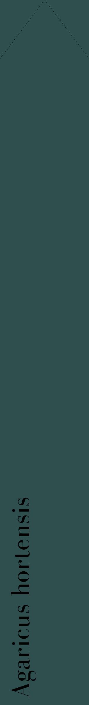 Étiquette de : Agaricus hortensis - format c - style noire58_simplebod avec comestibilité