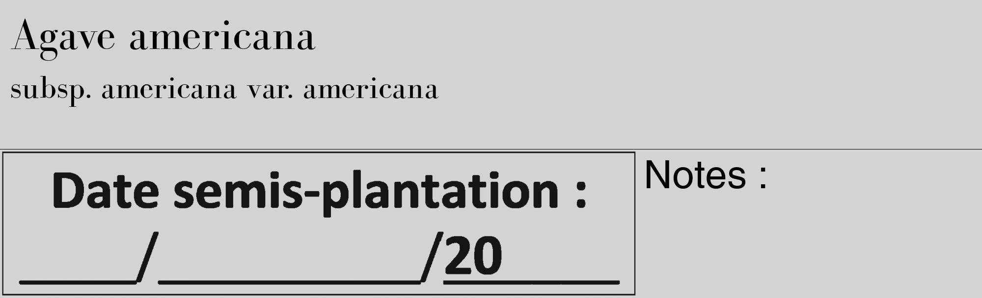 Étiquette de : Agave americana subsp. americana var. americana - format c - style noire56_basique_basiquebod avec comestibilité