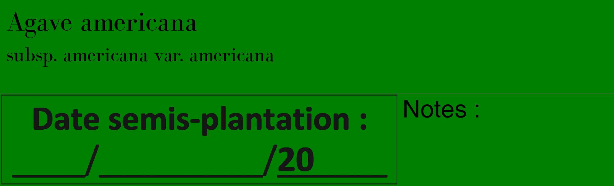 Étiquette de : Agave americana subsp. americana var. americana - format c - style noire9_basique_basiquebod avec comestibilité