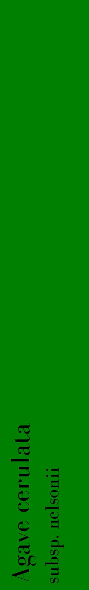 Étiquette de : Agave cerulata subsp. nelsonii - format c - style noire9_basiquebod avec comestibilité