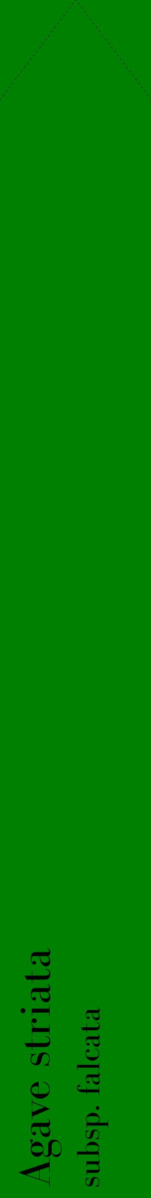 Étiquette de : Agave striata subsp. falcata - format c - style noire9_simplebod avec comestibilité