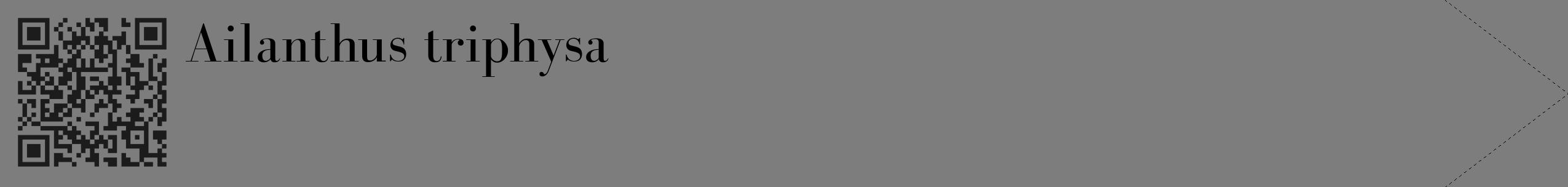 Étiquette de : Ailanthus triphysa - format c - style noire35_simple_simplebod avec qrcode et comestibilité