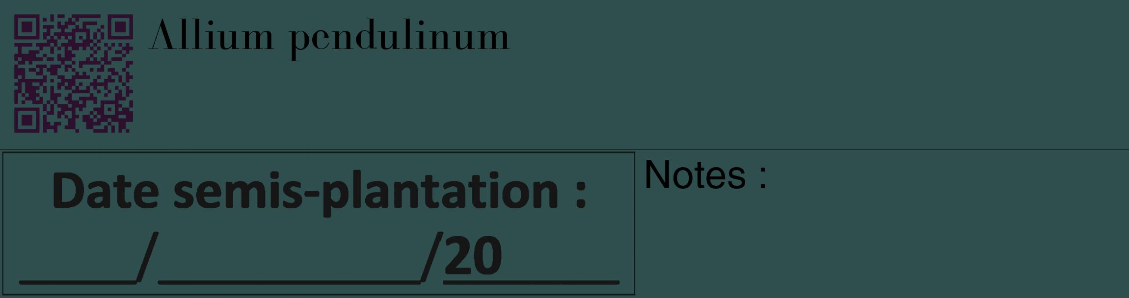 Étiquette de : Allium pendulinum - format c - style noire58_basique_basiquebod avec qrcode et comestibilité