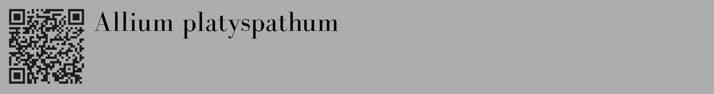 Étiquette de : Allium platyspathum - format c - style noire22_basique_basiquebod avec qrcode et comestibilité